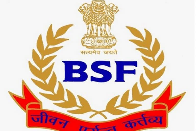 bsf