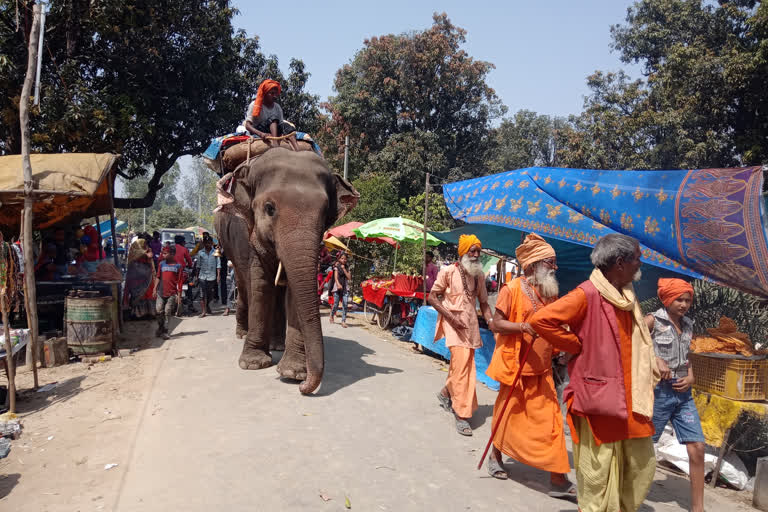 सीतापुर