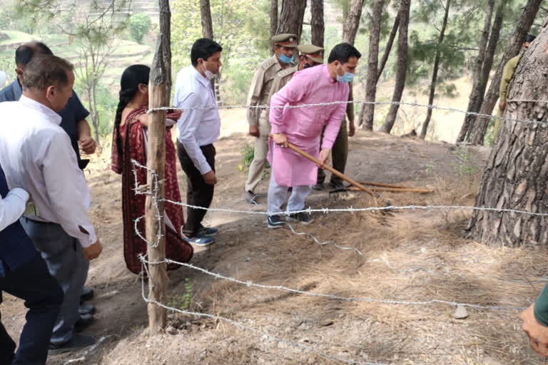 mla cleaned the forest