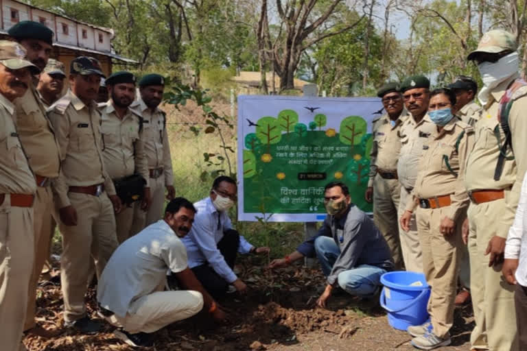 World Forestry Day: Forest workers pledge security by planting saplings