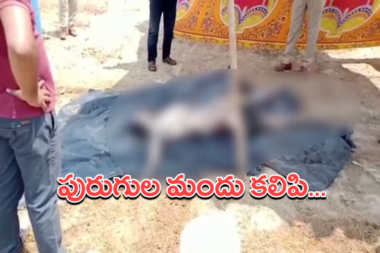 one person murder in  meka nayak thanda in narayanapet district