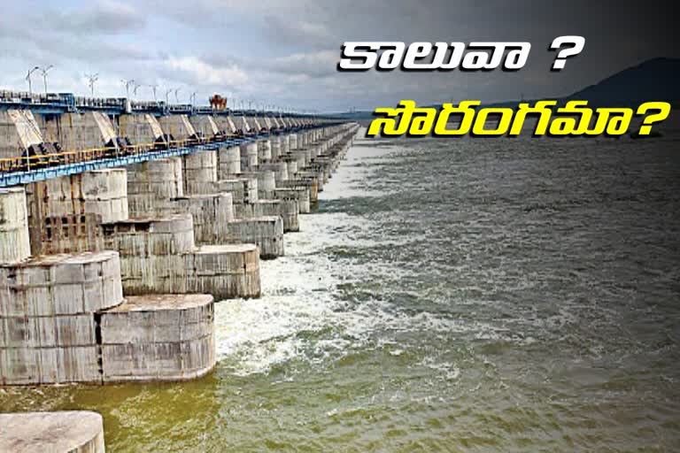 confusion-on-tmc-water-to-mallanna-sagar