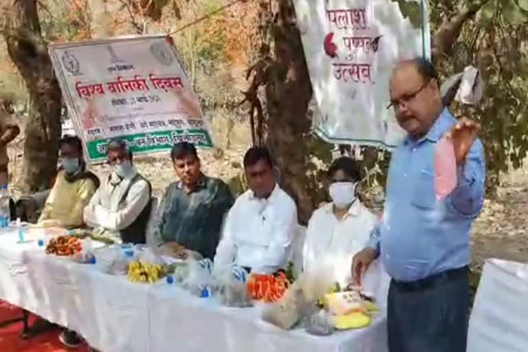 world forestry day, forest conservation in chittorgarh