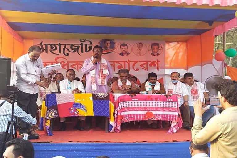 as_biswanath_bihali-baghmari-bibek-das-election-campaign_img_as10018