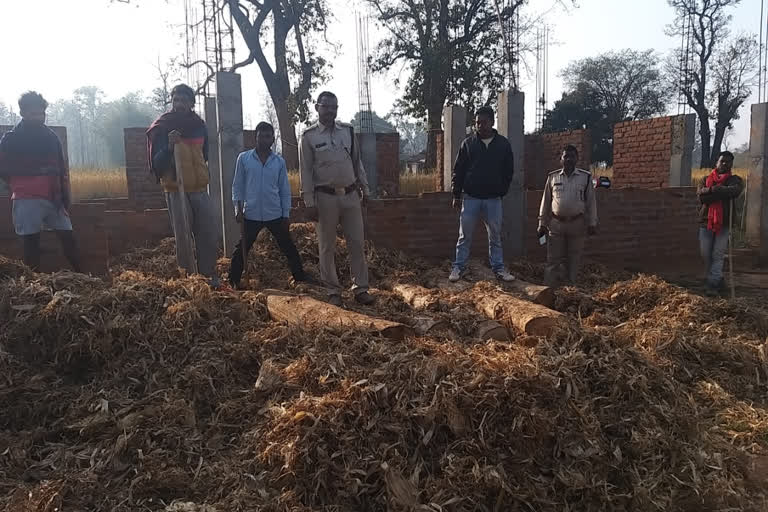 forest-department-team-seized-eight-teak-logs-in-balrampur