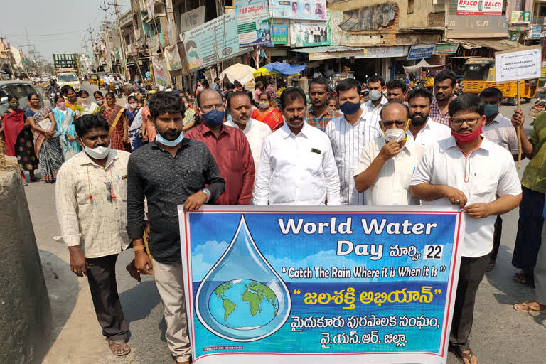 Performance on the occasion of World Water Day in Maidukuru