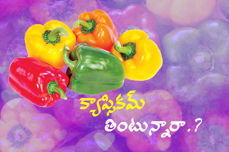 capsicum