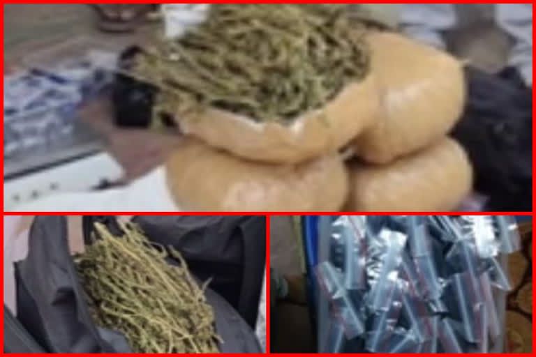 marijuana seazed in martur of prakasam district