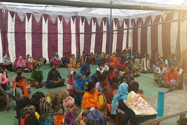 Naxalite affected families protest in Raipur