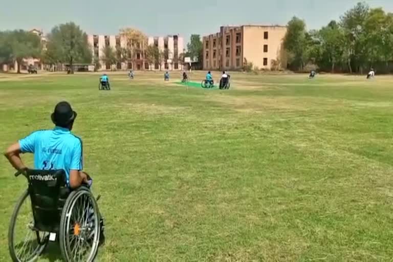 Divyang Wheelchair Cricket Competition,  Alwar news