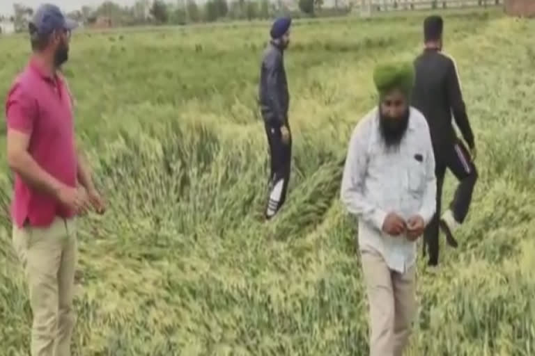 ਤਸਵੀਰ