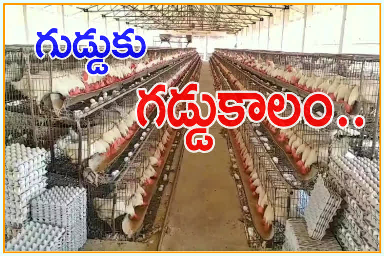 losses of egg farming