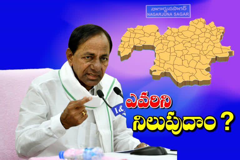 cm kcr consultations on Nagarjunasagar candidate selection