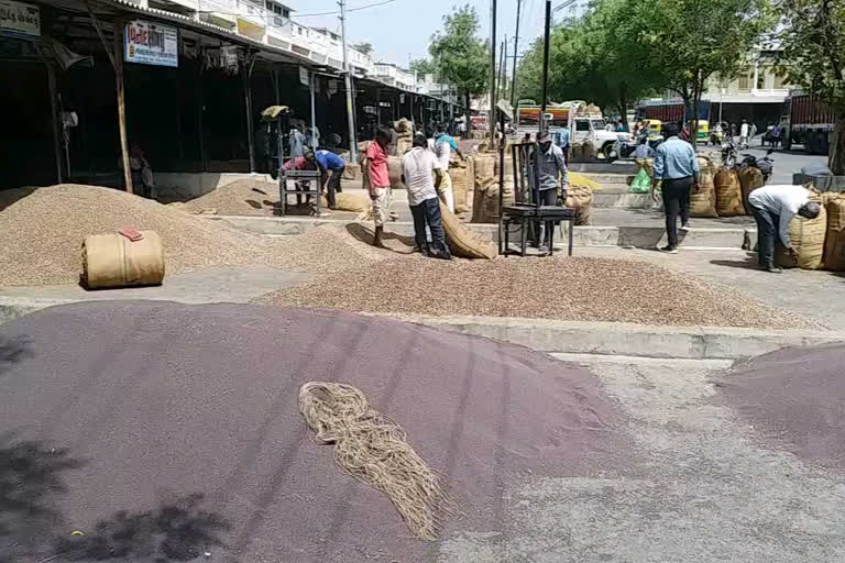 APMC માર્કેટમાં ગુરૂવારથી વેકેશન