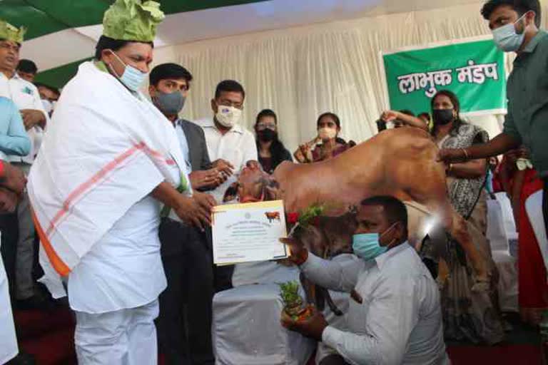 cm-animal-husbandry-development-scheme-started-from-koderma