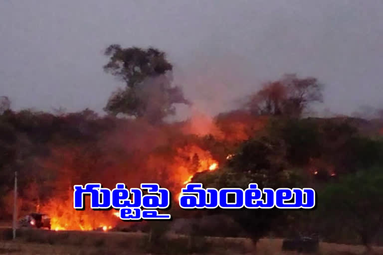 fire accident at the back of Lakshminarasimha swamy Gutta in Warangal Rural District