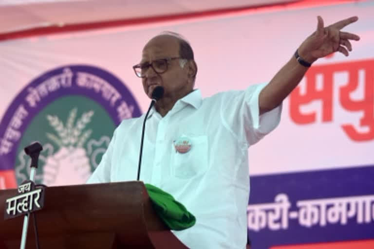 Sharad Pawar Sharad Pawar TMC campaign West Bengal assembly elections TMC campaign மேற்கு வங்கத்தில் முதல்கட்ட தேர்தல் பரப்புரை சரத் பவார் சிவசேனா காங்கிரஸ் தேசியவாத காங்கிரஸ் பாஜக