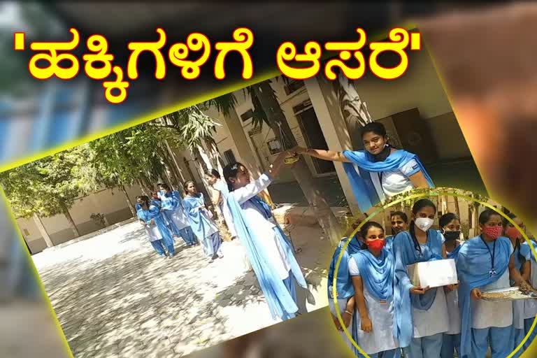 hospete students giving water to birds