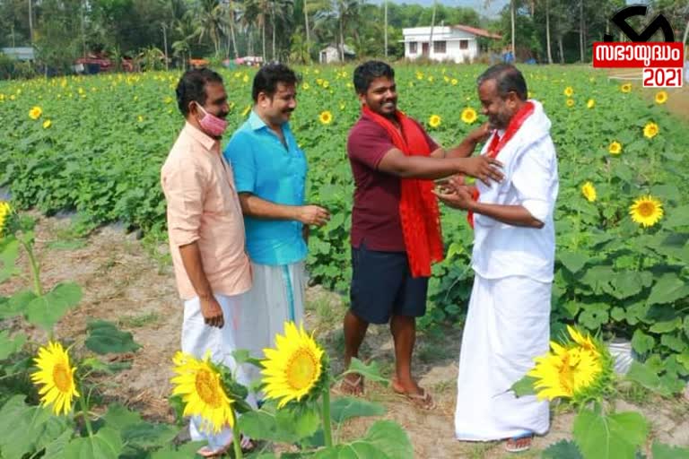 LDF candidate visited the sunflower garden in Cherthala  LDF candidate  LDF candidate P Prasad  പി. പ്രസാദ്  പി പ്രസാദ്  election campaign  sunflower  sunflower garden  visited sunflower garden  സൂര്യകാന്തി തോട്ടം സന്ദർശിച്ചു  സൂര്യകാന്തി തോട്ടം  സൂര്യകാന്തി  തെരഞ്ഞെടുപ്പ് 2021  തെരഞ്ഞെടുപ്പ് പ്രചാരണം  ആലപ്പുഴ  alappuzha  alappy  cherthala  ചേർത്തല  ചേർത്തലയിൽ സൂര്യകാന്തി തോട്ടം  sunflower garden in Cherthala