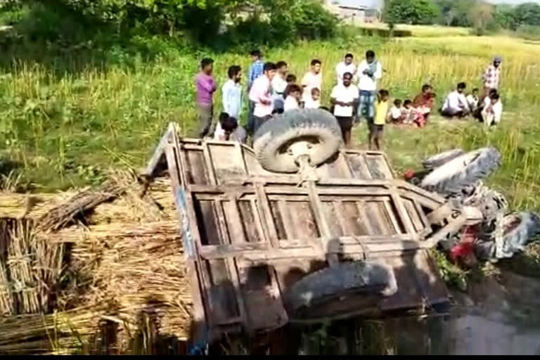 ट्रैक्टर-ट्राली पलटने से किसान की मौत