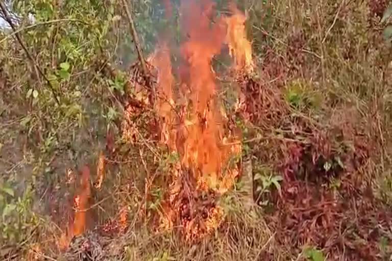 massive-fire-incident-at-amguri