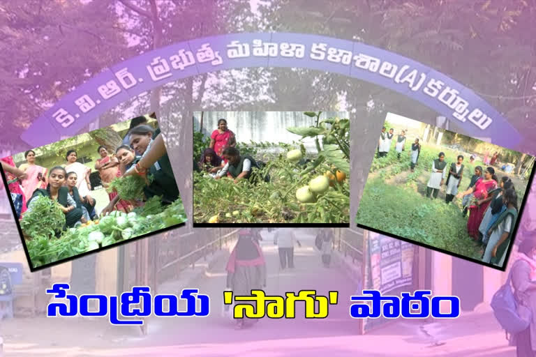 Kurnool farming, student organic farm