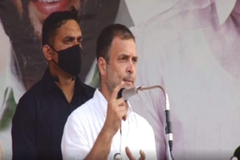 rahul says kerala govt giving jobs to own people