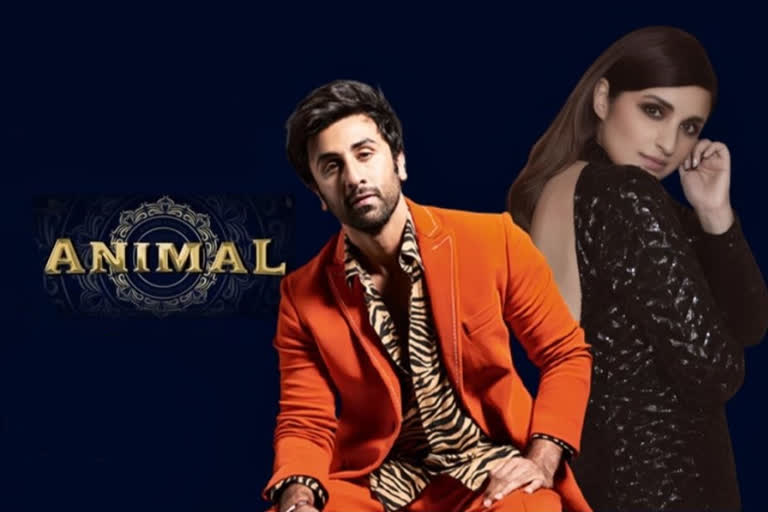 Here's when Ranbir-Prineeti starrer Animal will go on floors