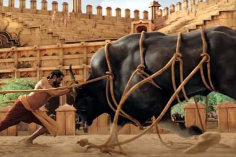 Rana Bahubali bull fight scene