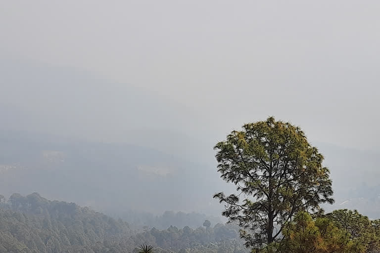 fog spread in the whole area due to forest fires in Berinag