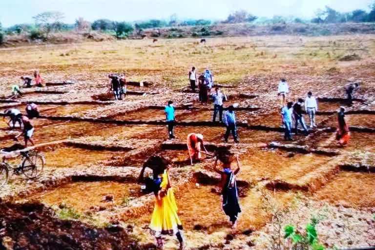 chhattisgarh-number-five-to-providing-employment-under-mnrega