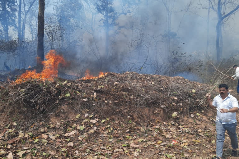 mla Vikram Shah Mandavi struggles to overcome the huge fire in the forest in bijapur