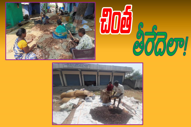 tamarind selling in kurnool