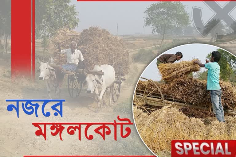 পশ্চিমবঙ্গ বিধানসভা নির্বাচন 2021