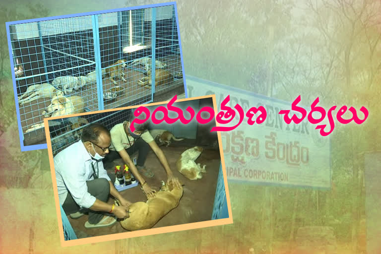 dogs prevention, khammam municipal corporation