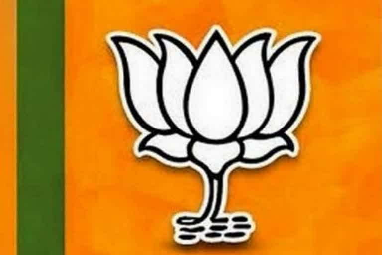 bjp election star campaigners list release