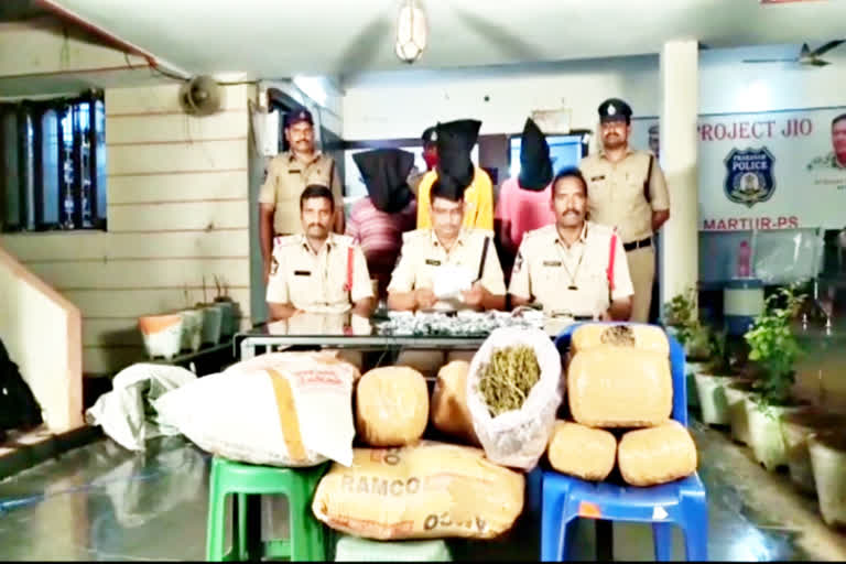 cannabis seized  in prakasam district