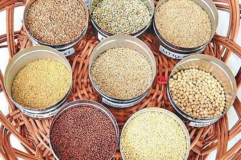 wide gap between demand and supply of millets