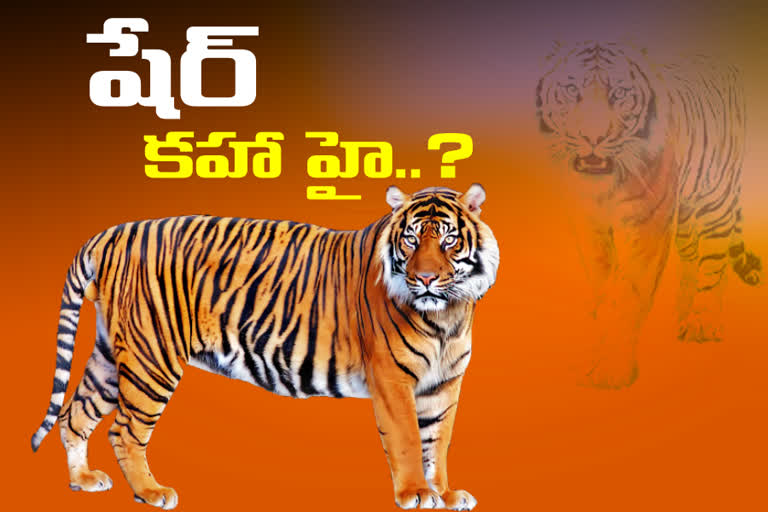 tiger, forest department, telangana