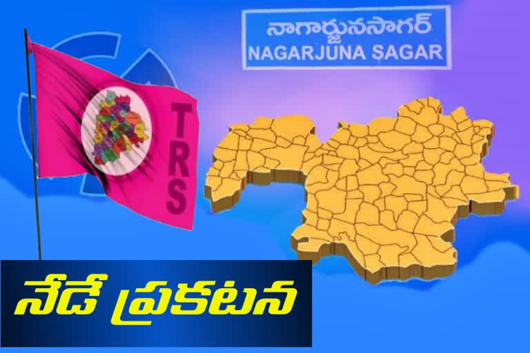 trs candidate, nagarjuna sagar