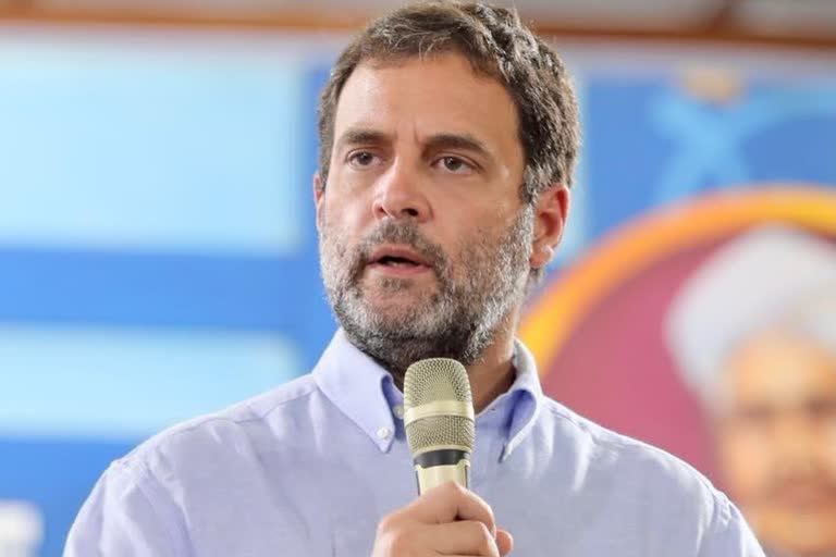 rahul forms alliance like tamil nadu against bjp