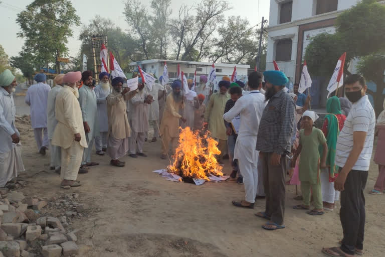 farmers burnt Holi of agricultural laws in tohana