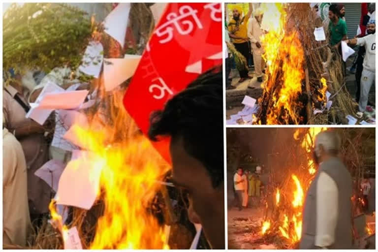 farmers burnt copies of agricultural laws