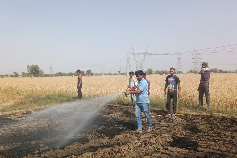 Fire in Bharatpur,  Wheat crop caught fire