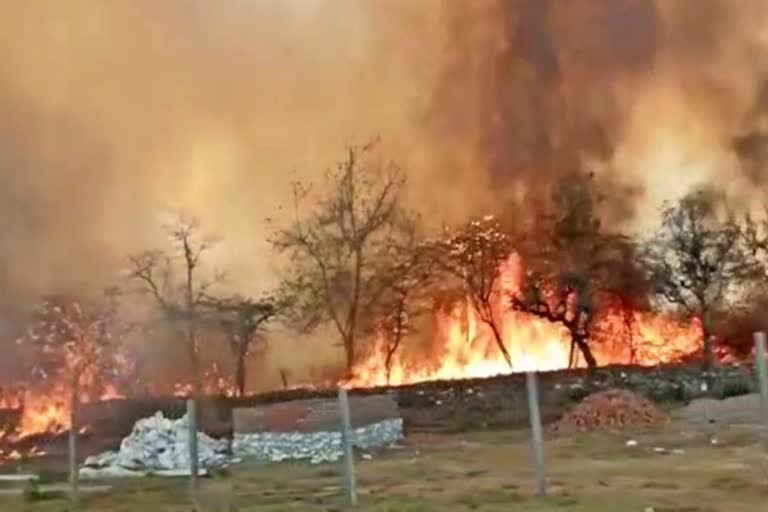 Fierce fire in Sabla forests of Dungarpur