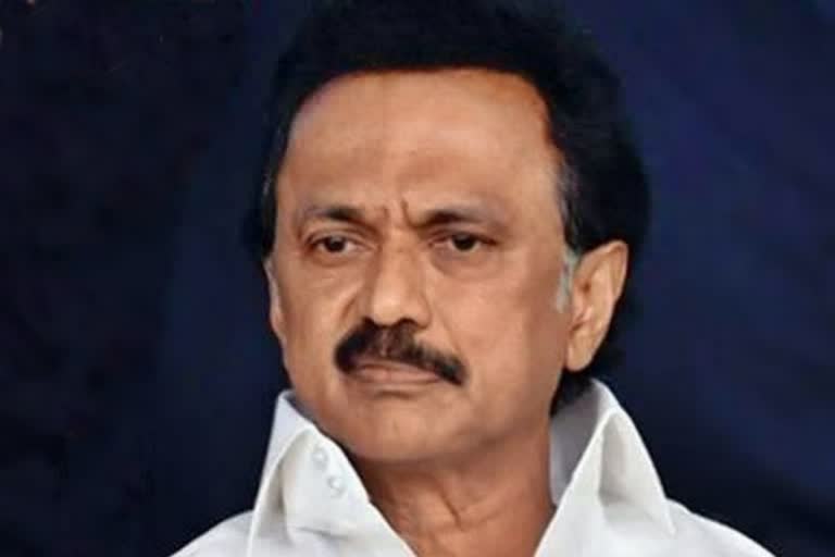 dmk chief stalin on caa, తమిళనాడు ఎన్నికలు డీఎంకే