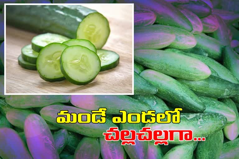 keera dosa benefits to health, keeradosa uses