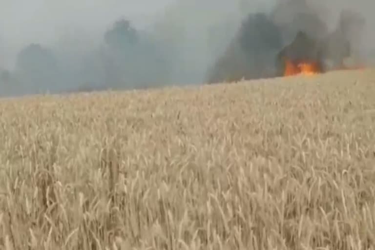 charkhi dadri wheat crop fire