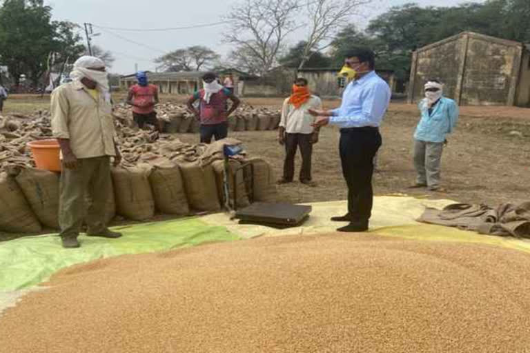 मेरठ में सरकारी क्रय केंद्रों पर होगी एक अप्रैल से गेहूं की खरीद