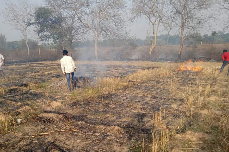 Fire in crops at different places in Lohardaga